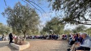 Lecture biblique sous les oliviers par une assemblée attentive